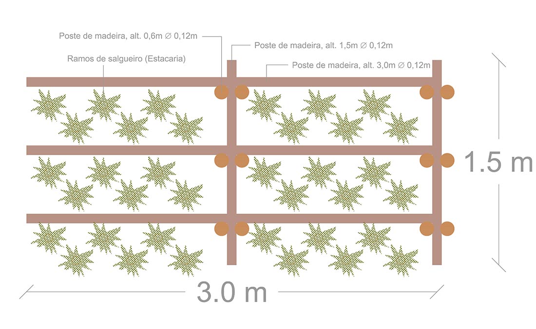 rio-torto-2